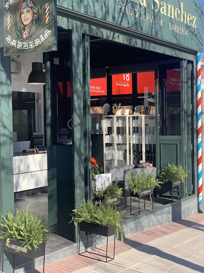 Sonia Sánchez, peluquería y barbería | Peluquería en Boadilla del Monte / Madrid