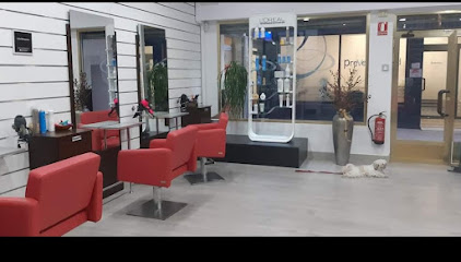 COCO, LIDIA PELUQUEROS | Peluqueria en Toledo / Toledo