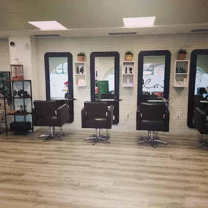 Ilaia Ile apaindegia | Peluqueria en Antzuola / Gipuzkoa