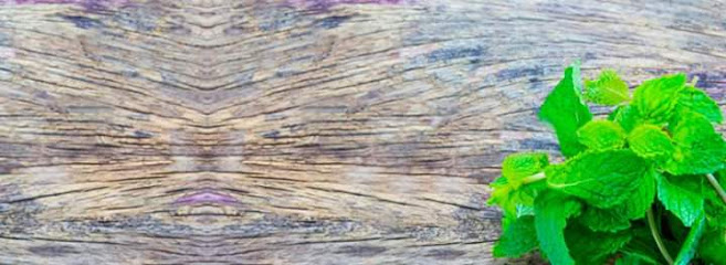 Menta | Centro de Estética en Torrelavega