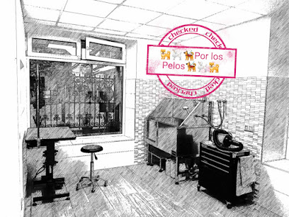 Peluqueria Por Los Pelos | Peluqueria en Herrera de Pisuerga / Palencia