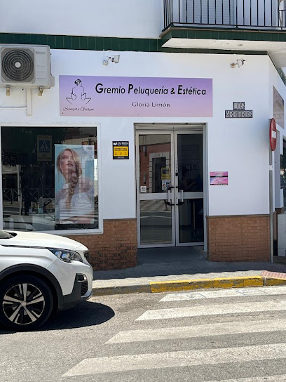 Gremio Peluqueria Gloria Limón | Peluquería en Olivares / Sevilla