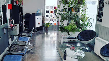 Iart Ileapaindegia | Peluquería en Zarauz / Gipuzkoa