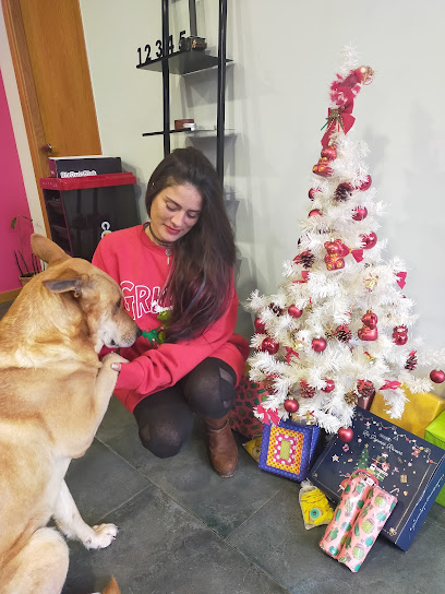 Ven Que Te Peino | Peluqueria en Lugo / Lugo