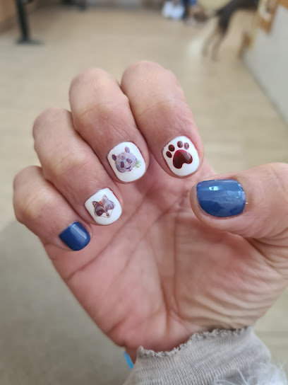 Taller de uñas Alegre | Peluquería en Zaragoza / 