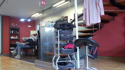 Activity | Peluquería en Cerdanyola del Vallès / Barcelona