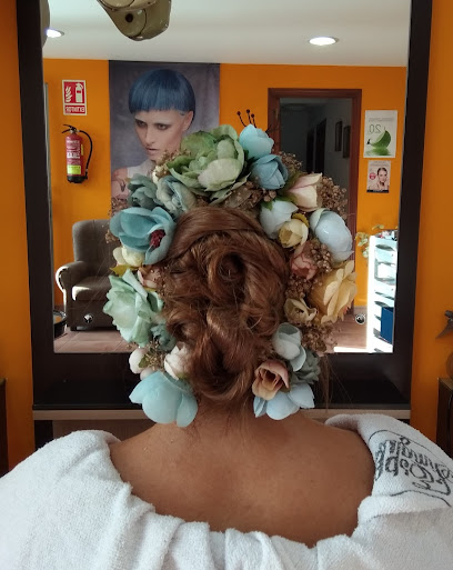 Peluquería DYAMS | Peluqueria en Bergondo / La Coruña