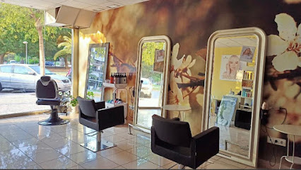 Peluqueria Stella Style | Peluqueria en Alicante / Alicante
