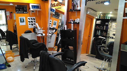 PASSARÓ ZUERA | Peluqueria en Zuera / Zaragoza