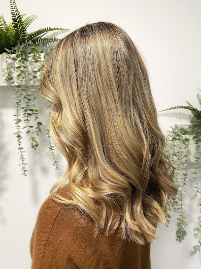 Peluquería Amparo Aparicio C.B | Peluquería en Mislata / Valencia