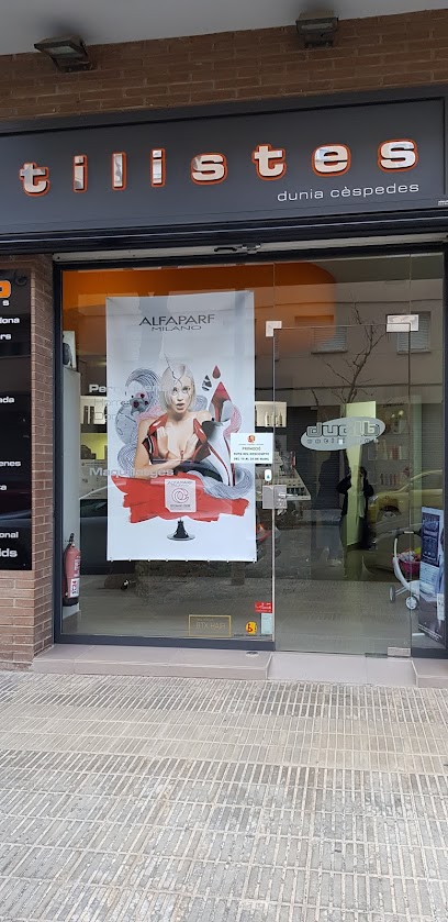 Dualb estilistes | Peluqueria en Lleida / Lleida