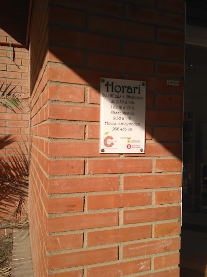 Carpe Diem | Centro de Estética en Santa Coloma de Cervelló