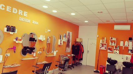Peluquería y Estética Cedre | Peluquería en Valencia / Valencia