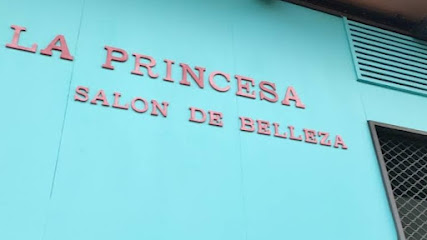 La Princesa | Peluquería en Zaragoza / 