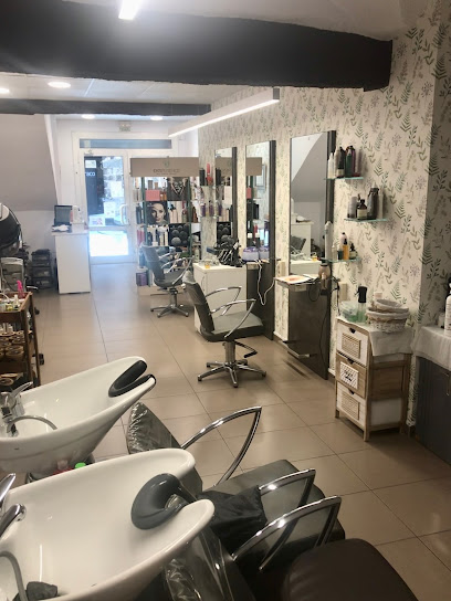 Perruqueria Md Tendències i Disseny | Peluquería en Olot / Girona