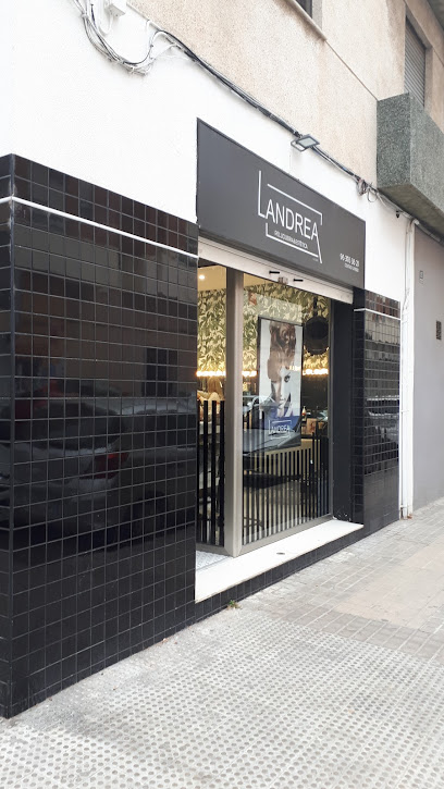 LANDREA | Peluqueria en Benetúser / Valencia