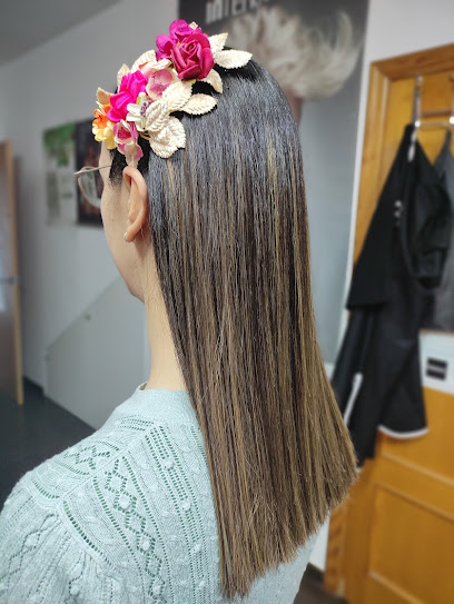 Cinofles | Peluquería en Enguera / Valencia