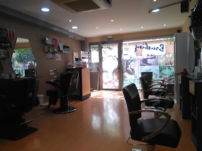 Brushing | Peluquería en Huesca / Huesca