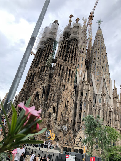 Diferent | Peluquería en Granollers / Barcelona