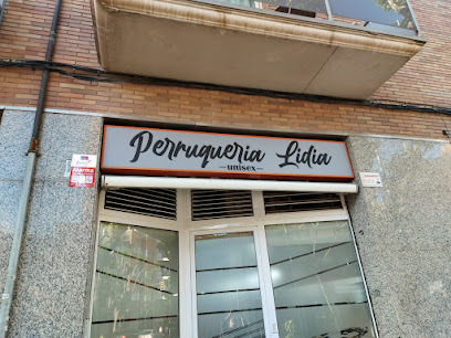 Peluqueria Lidia -Unisex- | Peluquería en Esplugues de Llobregat / Barcelona
