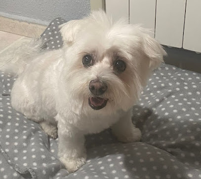 Indalcan | Peluquería en Pinto / Madrid
