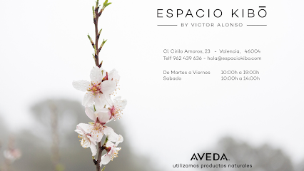 Espacio Kibo by Victor Alonso | Peluquería en Valencia / Valencia