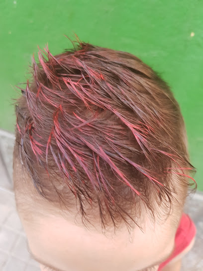 Peluquería Lidia | Peluquería en Binéfar / Huesca