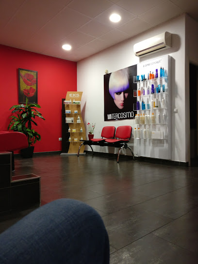 Peluqueria Sara | Peluqueria en Daimiel / Ciudad Real