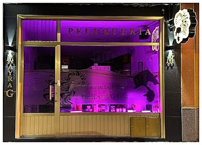 Peluquería Mayra García | Peluqueria en Arévalo / Ávila