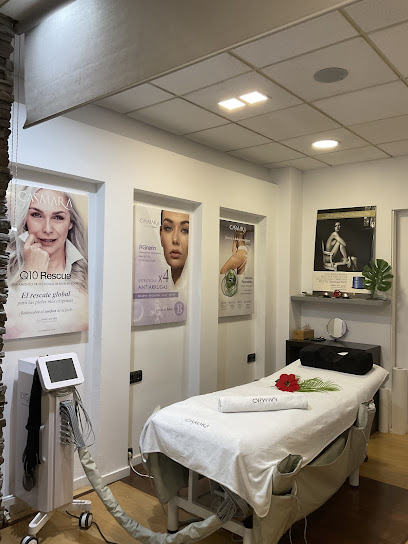 Devine | Peluquería en San Sebastián / 